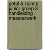 Getal & Ruimte Junior groep 3 handleiding Meesterwerk door Onbekend