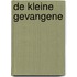 De kleine gevangene