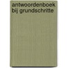 Antwoordenboek bij Grundschritte by Luuck Droste