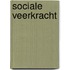 Sociale veerkracht