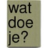 Wat doe je?