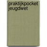 Praktijkpocket Jeugdwet by S. van Cleef