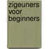 Zigeuners voor beginners