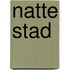 Natte stad