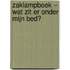 Wat zit er onder mijn bed?