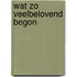 Wat zo veelbelovend begon