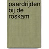 Paardrijden bij De Roskam by Vivian den Hollander