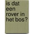 Is dat een rover in het bos?