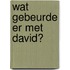 Wat gebeurde er met David?