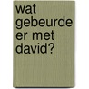 Wat gebeurde er met David? door Henk Hardeman