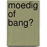 Moedig of bang? door Pierre Winters