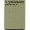 's-Hertogenbosch Snellestraat by A. Van de Venne