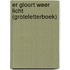 Er gloort weer licht (GroteLetterBoek)