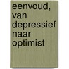 Eenvoud, van depressief naar optimist door Patrick Degeyter