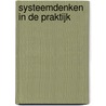 Systeemdenken in de praktijk by Roos van Wingerden