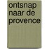 Ontsnap naar de Provence