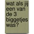 Wat als jij een van de 3 biggetjes was?
