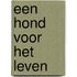 Een hond voor het leven