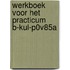 Werkboek voor het practicum B-KUL-P0V85A