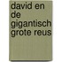 David en de gigantisch grote reus