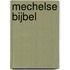 Mechelse Bijbel