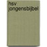 HSV Jongensbijbel