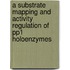 A Substrate Mapping and Activity Regulation of PP1 Holoenzymes