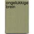 Het ongelukkige brein