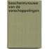Beschermvrouwe van de verschoppelingen