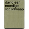 David een moedige schildknaap by Hans Peul