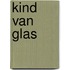 Kind van glas