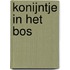 Konijntje in het bos