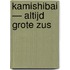 Kamishibai — Altijd grote zus