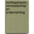 Rechtspersoon, vennootschap en onderneming
