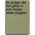 De jongen die het geluk in een doosje wilde stoppen