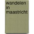 Wandelen in Maastricht