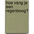 Hoe vang je een regenboog?