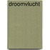 Droomvlucht