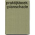 Praktijkboek ­Planschade