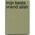 Mijn beste Vriend Allah