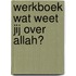 Werkboek Wat weet jij over Allah?