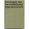 Kort begrip van het intellectuele eigendomsrecht door P.G.F.A. Geerts