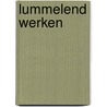 lummelend werken by Wilma Wouters