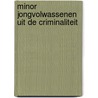 Minor Jongvolwassenen uit de criminaliteit door Froukje Dierckx