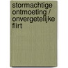 Stormachtige ontmoeting / Onvergetelijke flirt door Marion Lennox