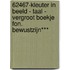 62467-Kleuter in beeld - Taal - vergroot boekje Fon. Bewustzijn***