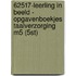 62517-Leerling in beeld - Opgavenboekjes Taalverzorging M5 (5st)