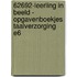 62692-Leerling in beeld - Opgavenboekjes Taalverzorging E6