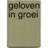 Geloven in groei