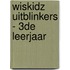 Wiskidz Uitblinkers - 3de leerjaar